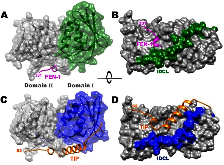 Figure 4.