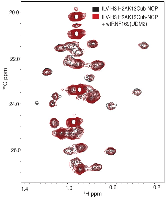 Figure 4—figure supplement 1.