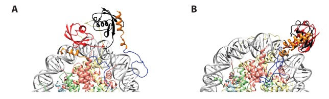 Figure 8—figure supplement 2.