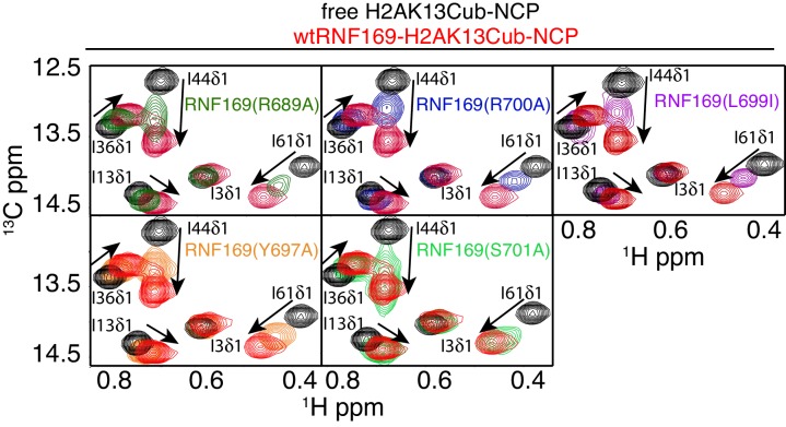 Figure 5.