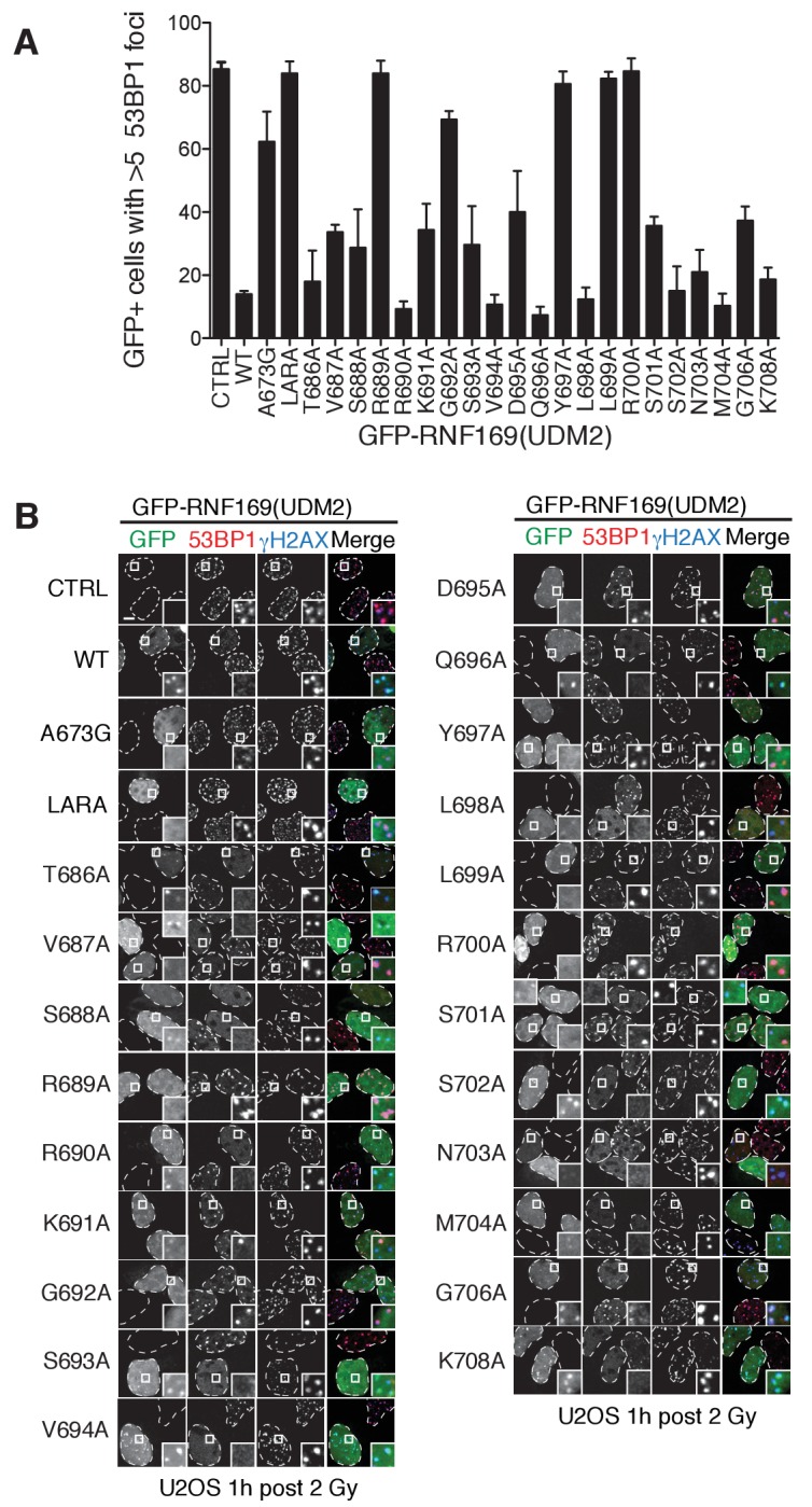 Figure 5—figure supplement 1.