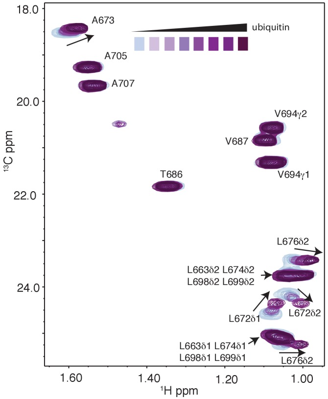 Figure 3—figure supplement 3.