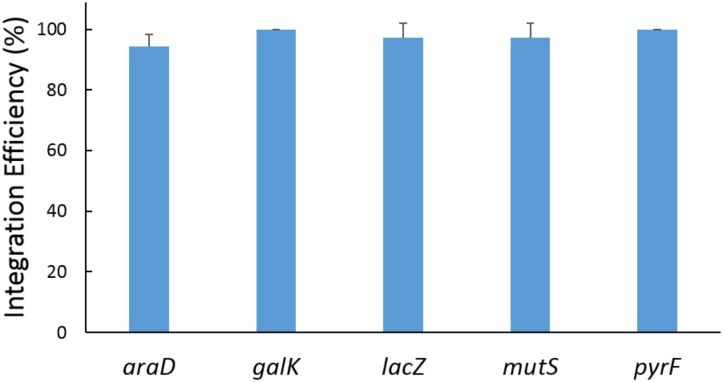 FIGURE 4