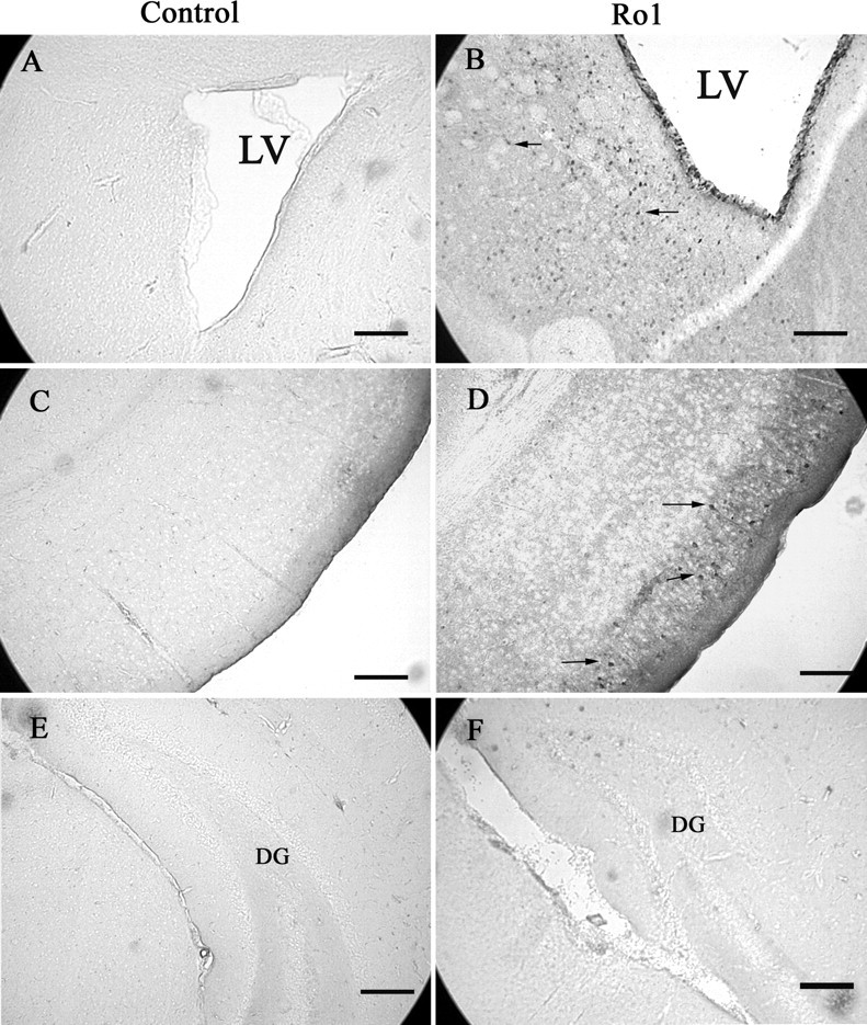 Figure 9.