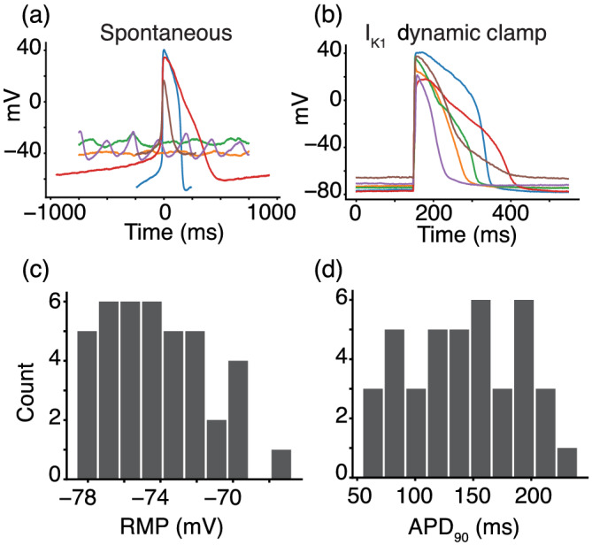 FIGURE 3