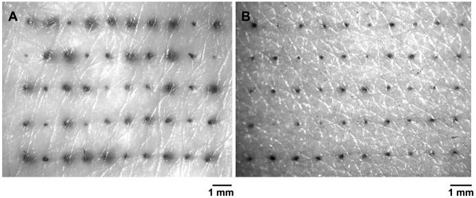 Fig. 8