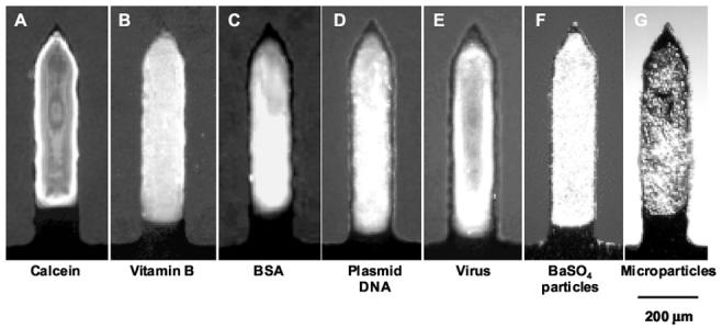 Fig. 6