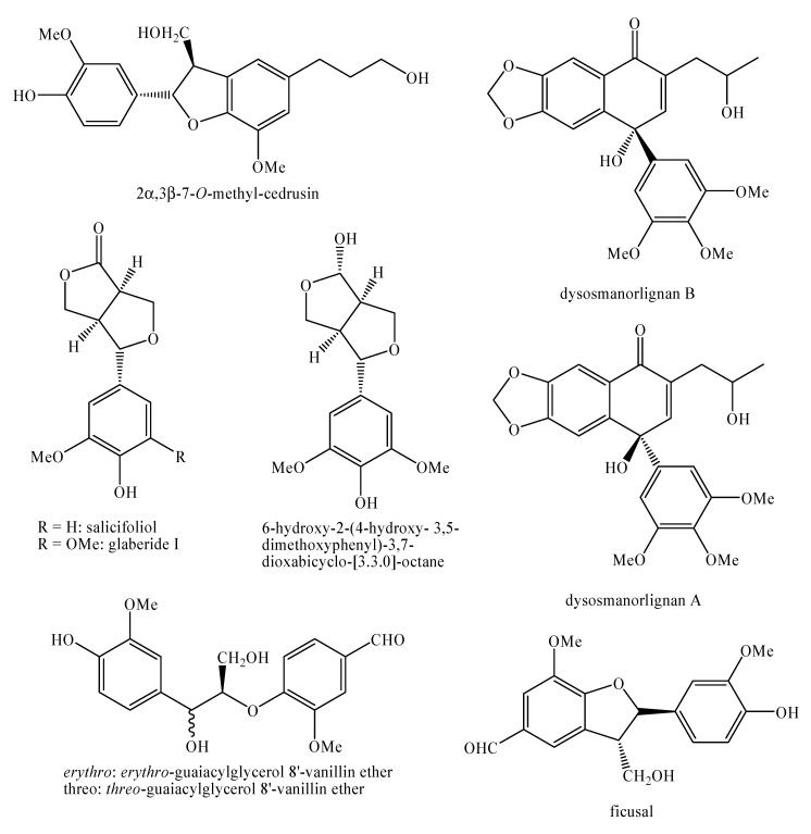 Figure 21