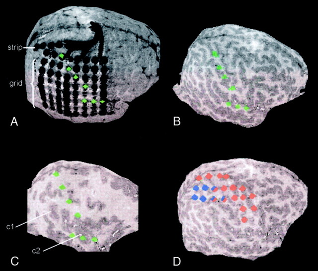 Fig 3.