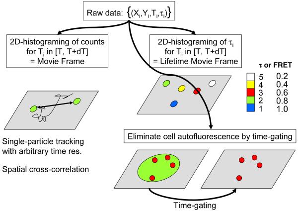 Figure 12