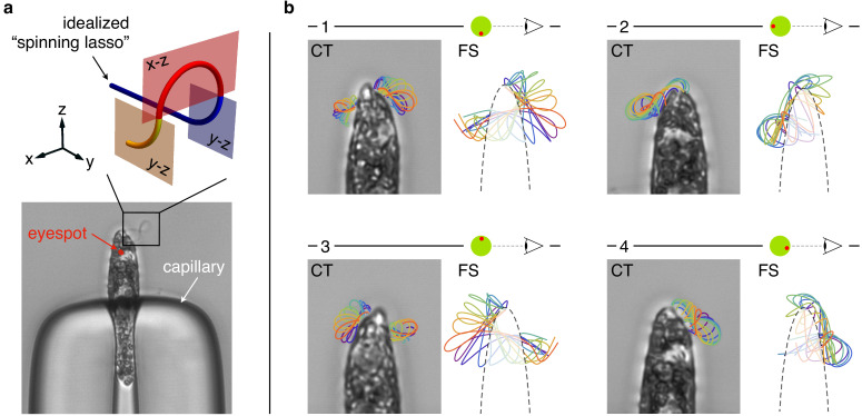 Figure 3.