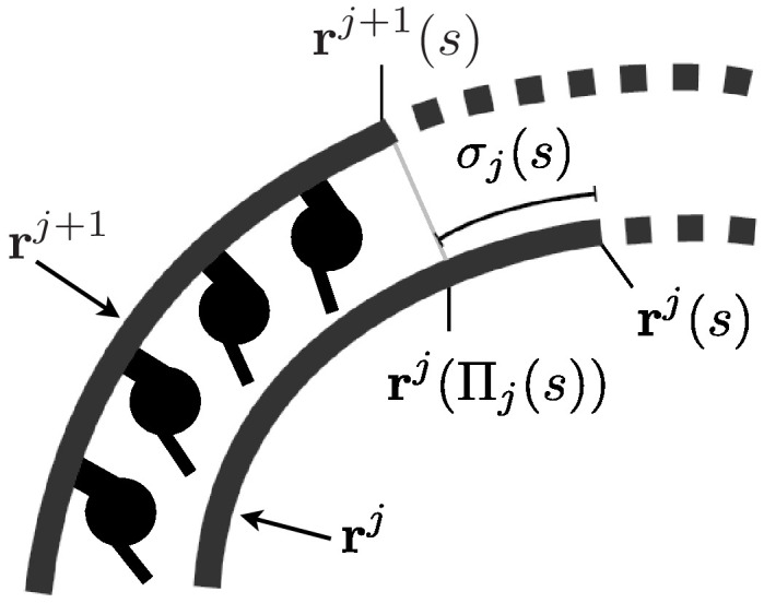 Appendix 1—figure 1.