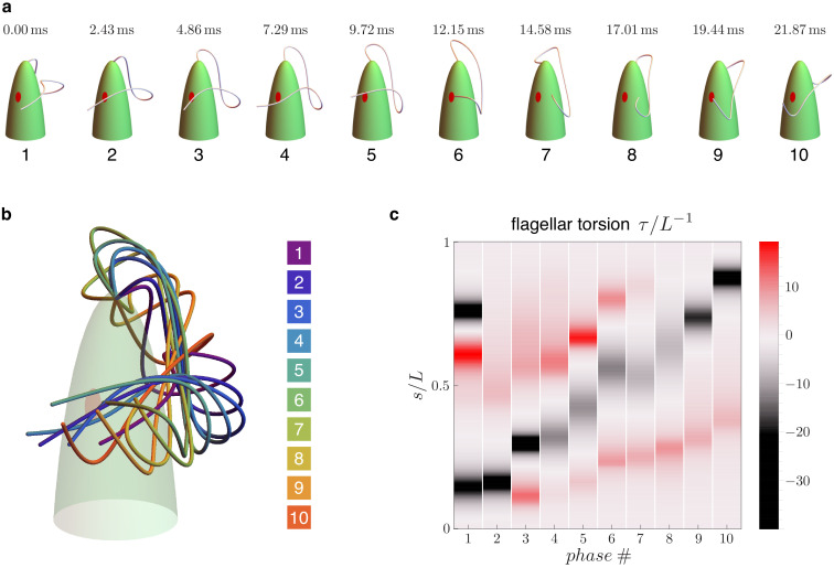 Figure 2.