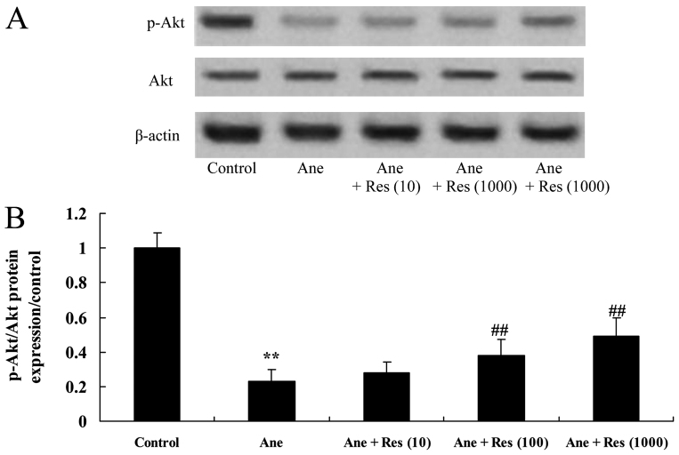 Figure 7.