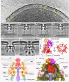 Fig. 4
