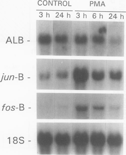 FIG. 5.