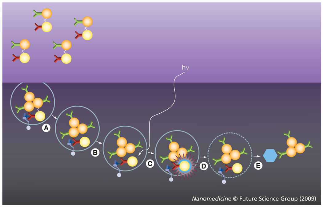 Figure 19