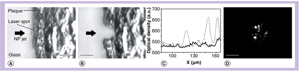 Figure 21