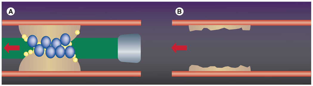 Figure 20