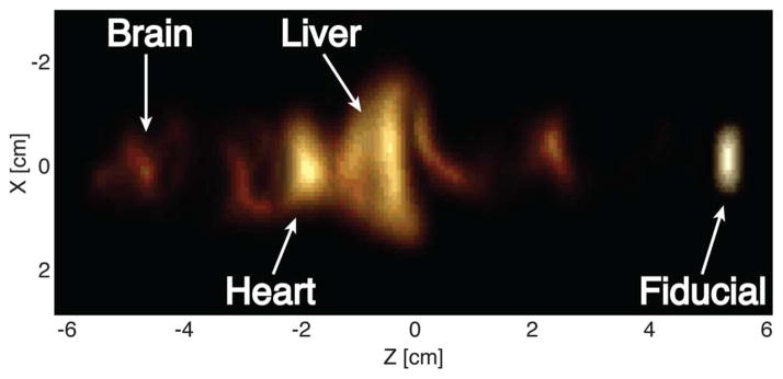 Fig. 8