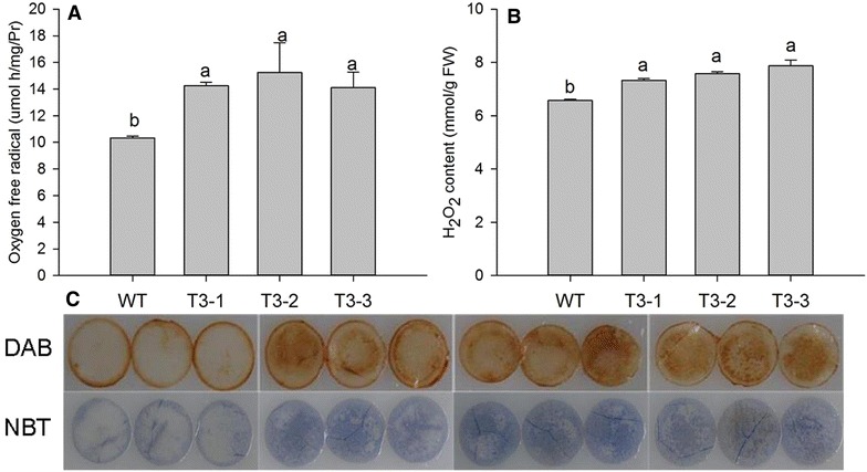 Fig. 5