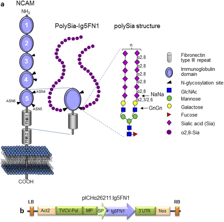 Fig. S5.