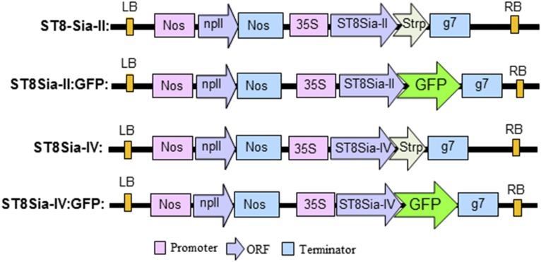 Fig. S3.