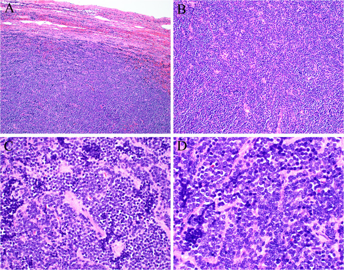 Fig. 2