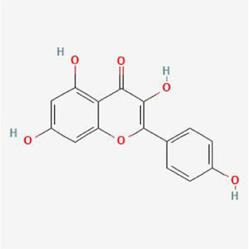 graphic file with name JPPS_jpps-2023-11225_wc_tfx3.jpg