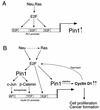 FIG. 8.