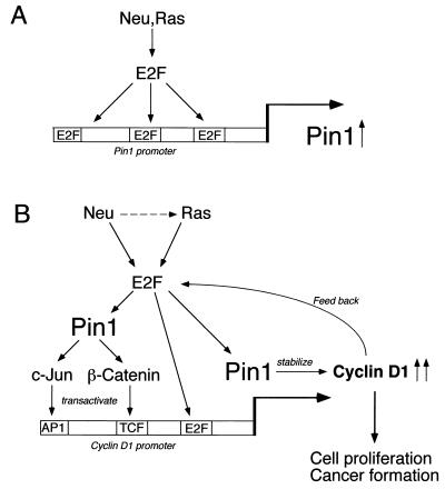 FIG. 8.