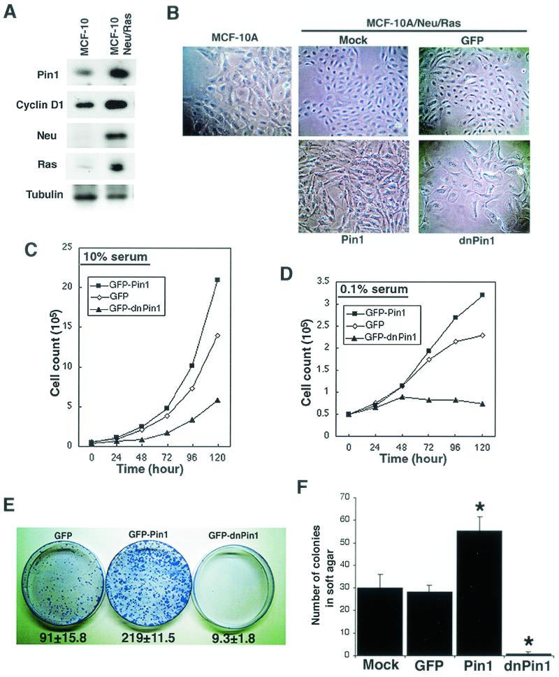 FIG. 6.