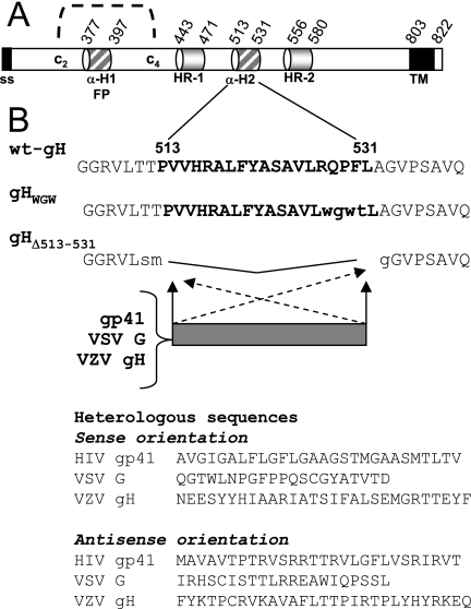 FIG. 1.