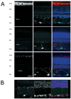 FIG. 7