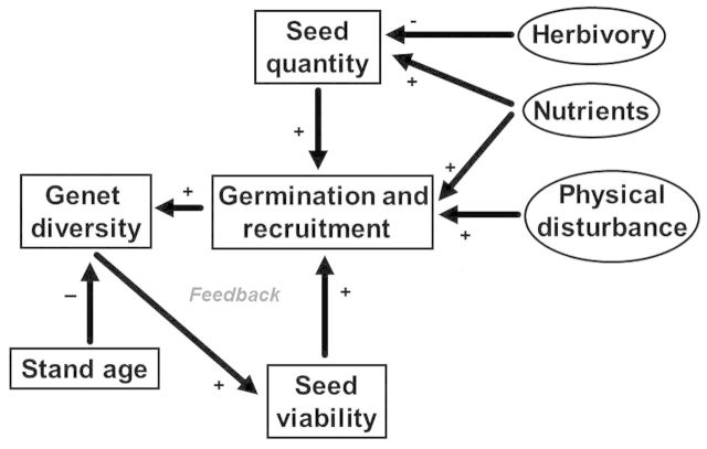 Figure 5.