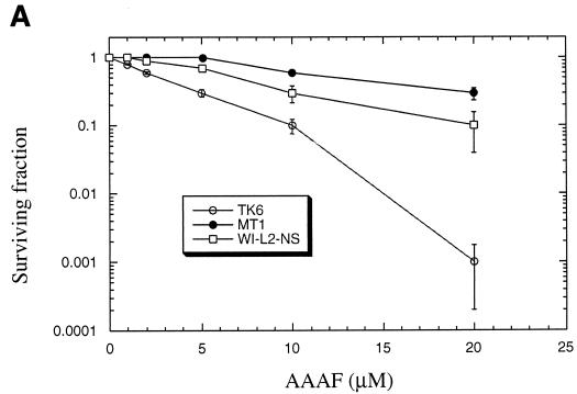 FIG. 6