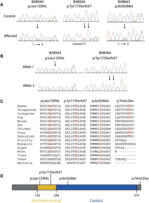 Figure 1