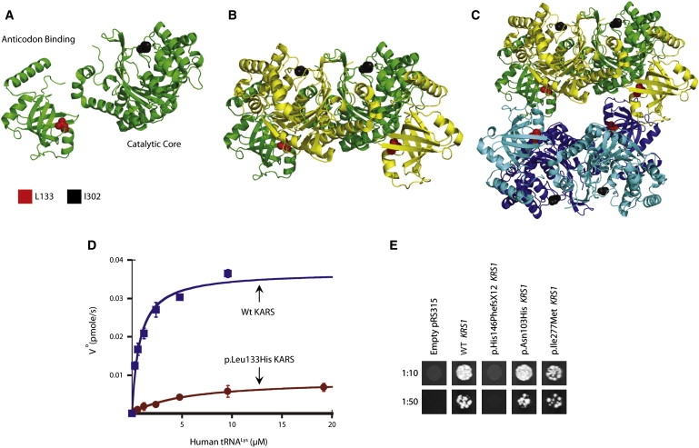 Figure 2