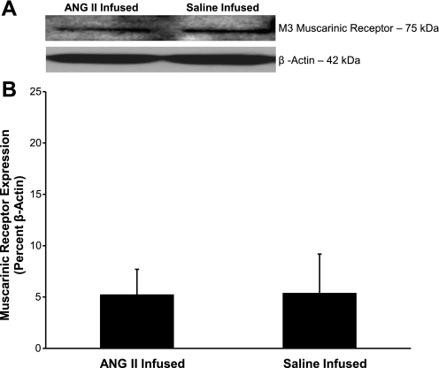 Fig. 9.