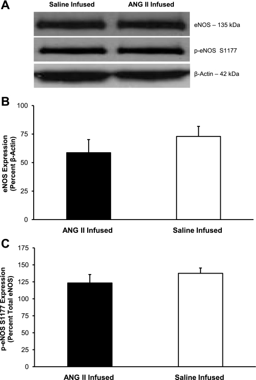 Fig. 10.