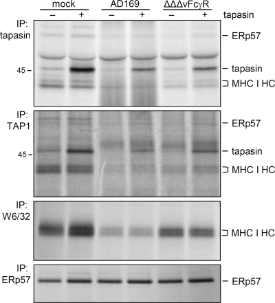 FIG. 7.