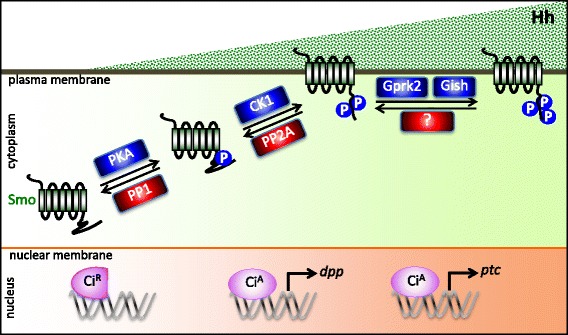 Fig. 3