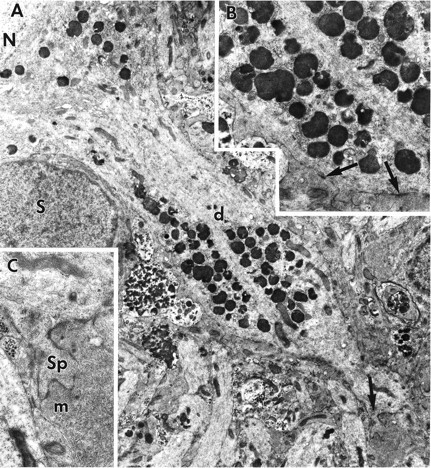 Fig. 5.