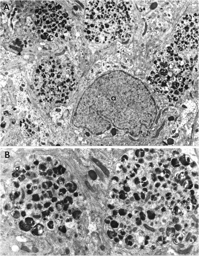 Fig. 9.