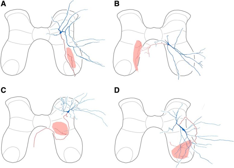 Figure 6.