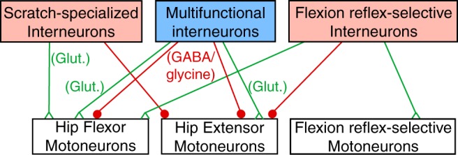 Figure 12.