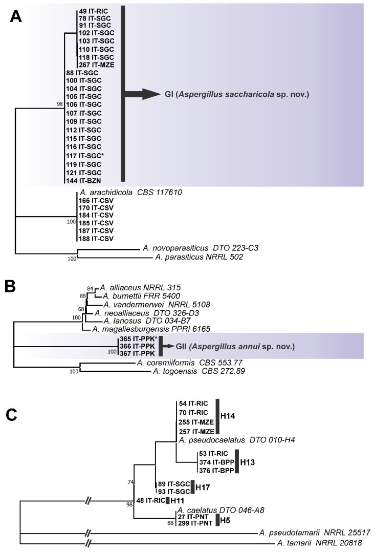 Figure 5