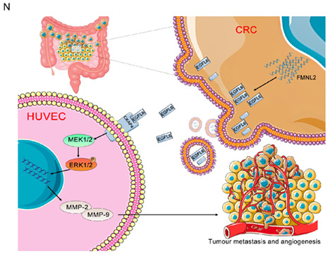 graphic file with name CAS-114-2014-g010.jpg