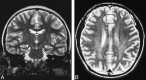 <sc>fig</sc> 1.