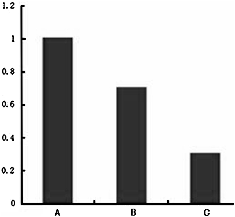 Fig. 7